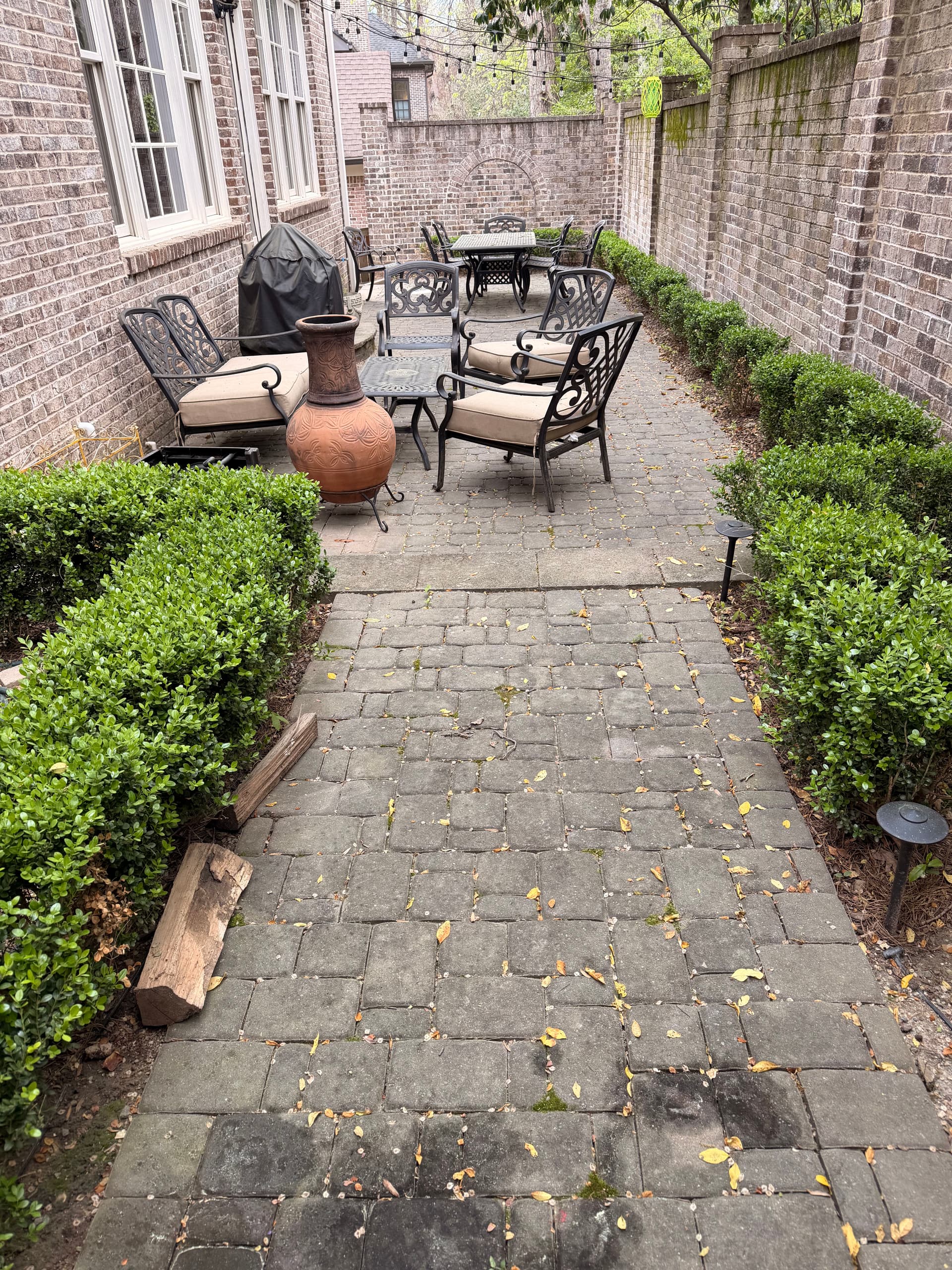 Paver Restoration for Beautiful Outdoor Spaces image